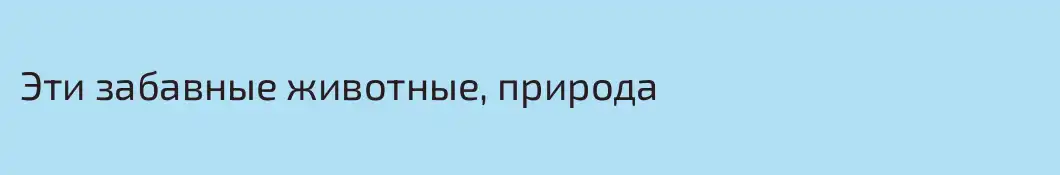 Эти забавные животные, природа